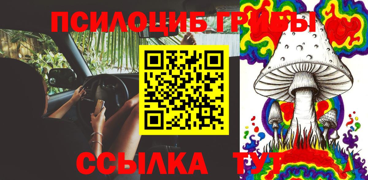 Галлюциногенные грибы Psilocybe  Вход с VPN  Знаменск  Псилоцибиновые грибы мицелий 