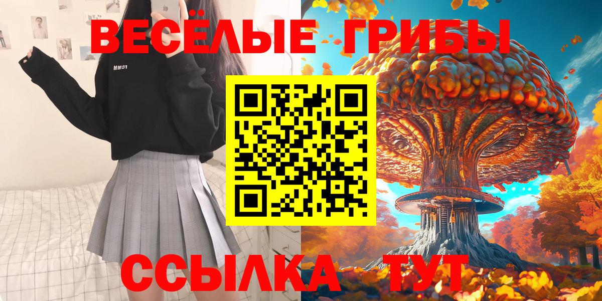 Галлюциногенные грибы Psilocybe Знаменск